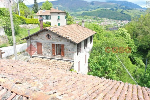 casa indipendente in vendita a Piazza al Serchio in zona Nicciano