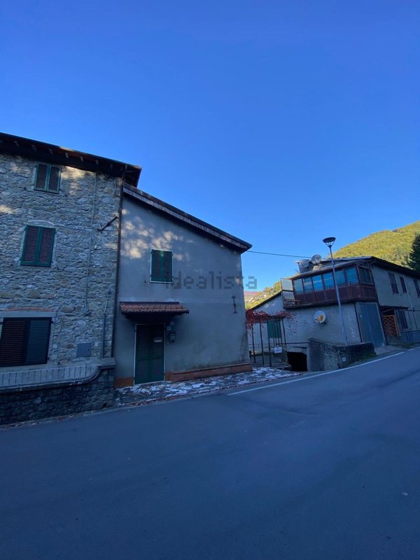 casa indipendente in vendita a Piazza al Serchio in zona Vergnano