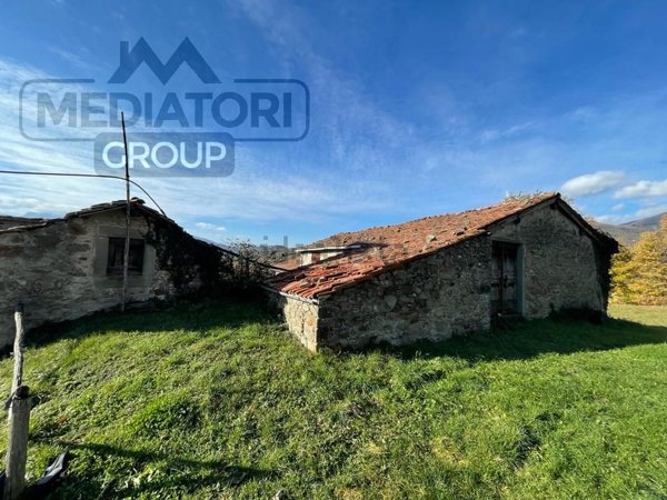 appartamento in vendita a Piazza al Serchio in zona Livignano