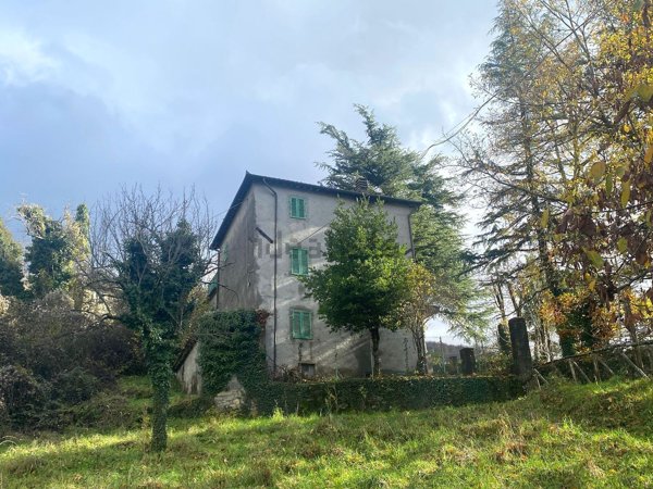 casa indipendente in vendita a Piazza al Serchio in zona Borsigliana