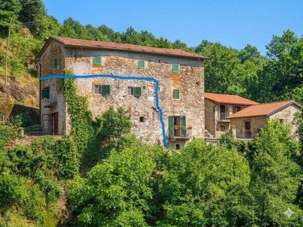 casa indipendente in vendita a Piazza al Serchio in zona San Michele
