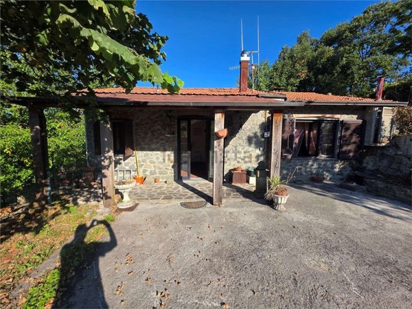 casa indipendente in vendita a Piazza al Serchio in zona Borsigliana