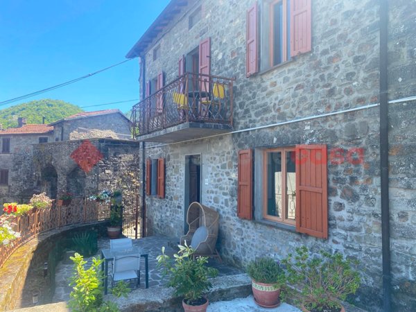 casa indipendente in vendita a Piazza al Serchio in zona Nicciano