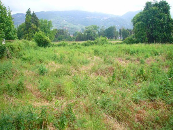 terreno agricolo in vendita a Pietrasanta in zona Strettoia