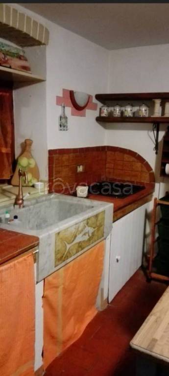 casa indipendente in vendita a Pietrasanta in zona Capriglia