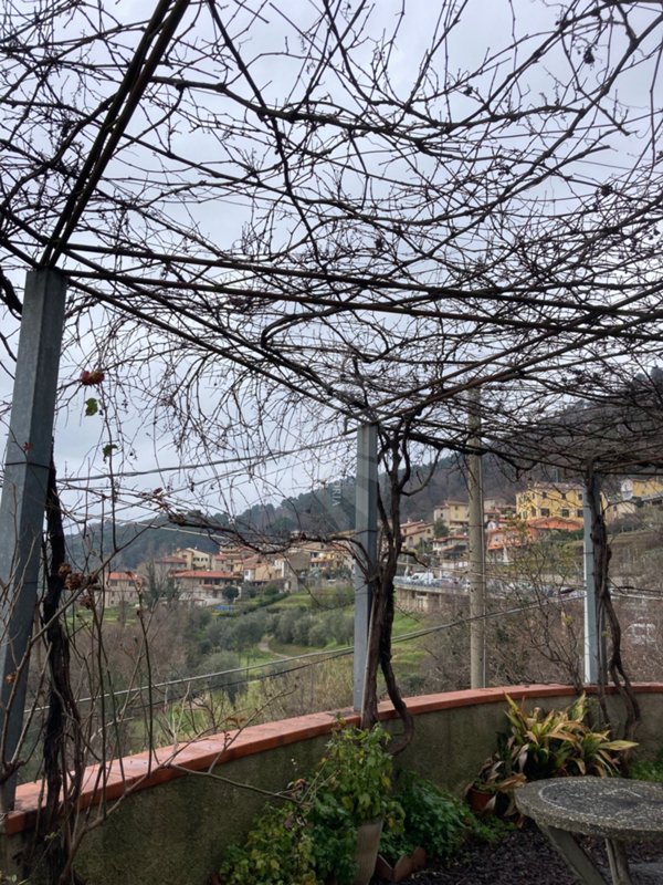 casa indipendente in vendita a Pietrasanta in zona Capezzano Monte