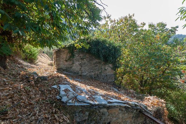 casa indipendente in vendita a Pietrasanta