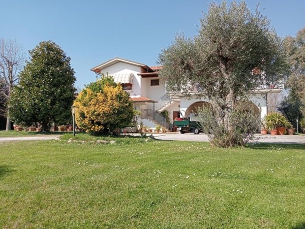 casa indipendente in vendita a Pietrasanta in zona Motrone