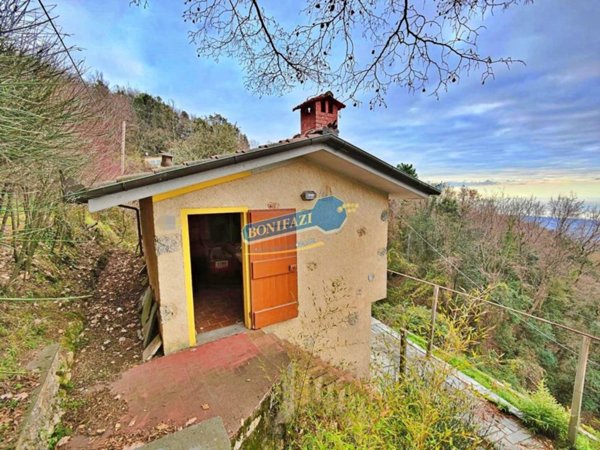 casa indipendente in vendita a Pietrasanta in zona Capezzano Monte