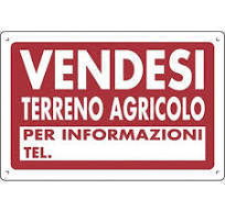 terreno agricolo in vendita a Pietrasanta