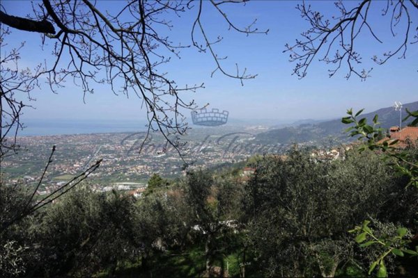 casa indipendente in vendita a Pietrasanta in zona Capriglia