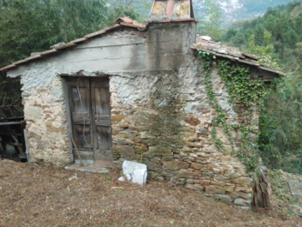 terreno agricolo in vendita a Pietrasanta