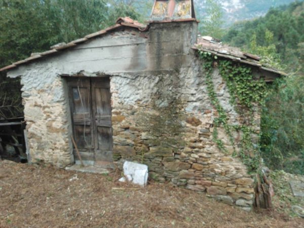 terreno agricolo in vendita a Pietrasanta