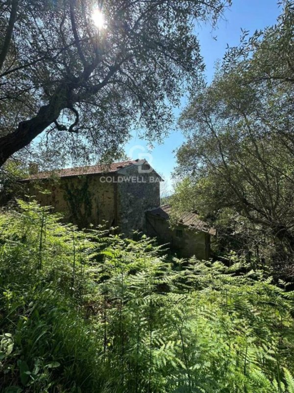 casa indipendente in vendita a Pietrasanta