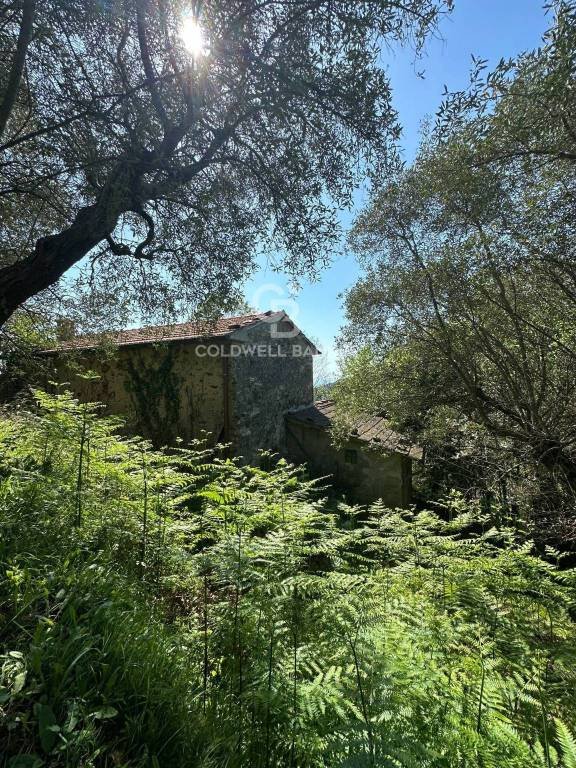 casa indipendente in vendita a Pietrasanta