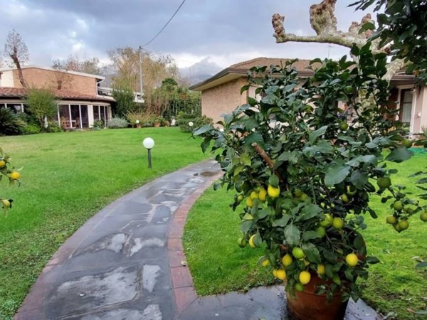 casa indipendente in vendita a Pietrasanta in zona Marina di Pietrasanta