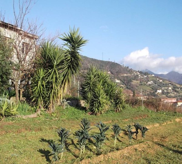 casa indipendente in vendita a Pietrasanta