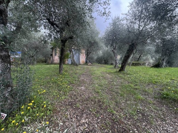 appartamento in vendita a Pietrasanta