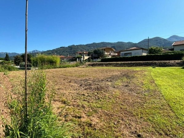 terreno agricolo in vendita a Pietrasanta