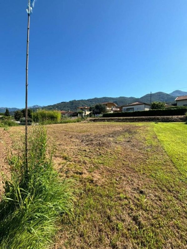 terreno agricolo in vendita a Pietrasanta