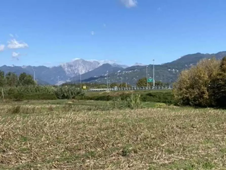 casa indipendente in vendita a Pietrasanta in zona Focette