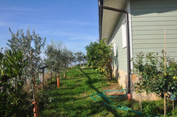 appartamento in vendita a Pietrasanta