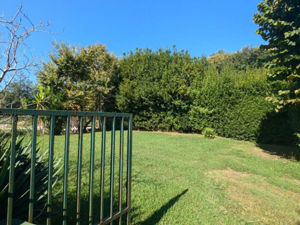 terreno agricolo in vendita a Pietrasanta