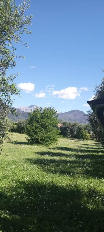 terreno agricolo in vendita a Pietrasanta