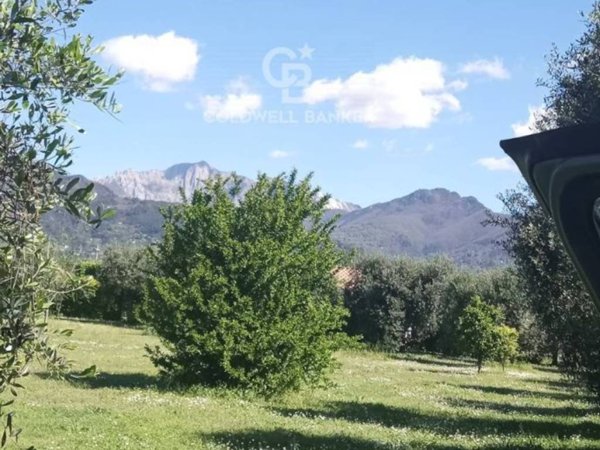 terreno agricolo in vendita a Pietrasanta
