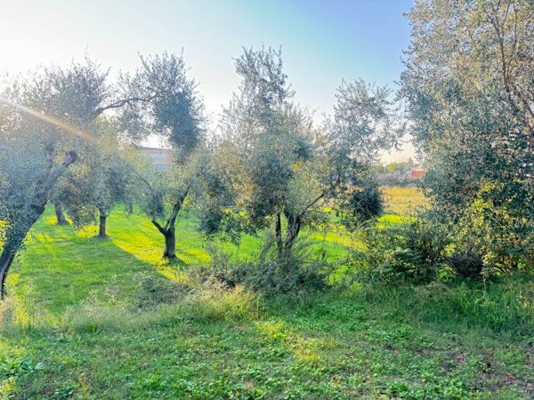 terreno edificabile in vendita a Pietrasanta