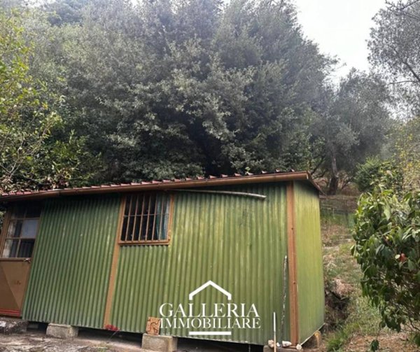 terreno agricolo in vendita a Pietrasanta