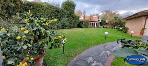 casa indipendente in vendita a Pietrasanta in zona Marina di Pietrasanta
