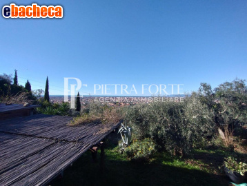 casa indipendente in vendita a Pietrasanta in zona Vallecchia