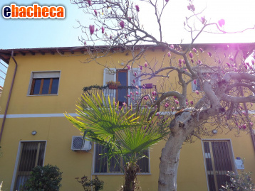 appartamento in vendita a Pietrasanta