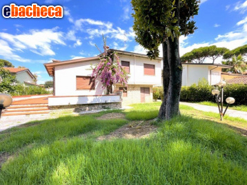 casa indipendente in vendita a Pietrasanta in zona Tonfano