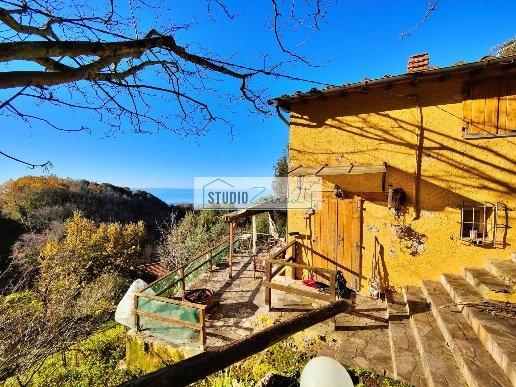 casa indipendente in vendita a Pietrasanta in zona Capezzano Monte