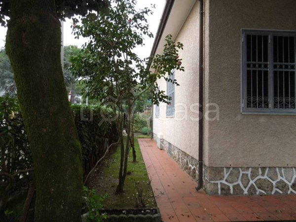 casa indipendente in vendita a Pietrasanta in zona Tonfano