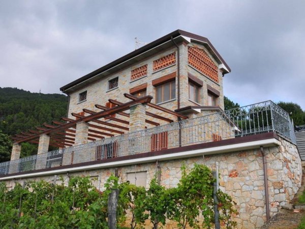 esavano in vendita a Pietrasanta in zona Strettoia