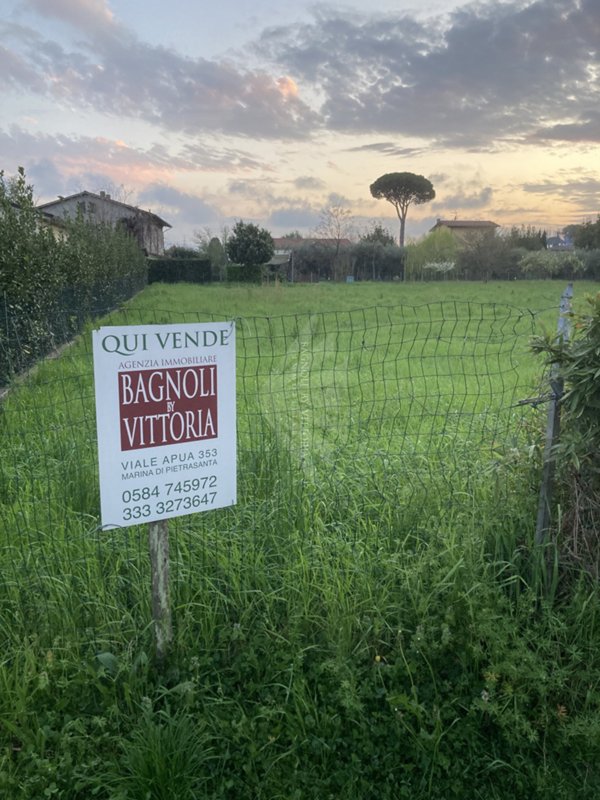 terreno agricolo in vendita a Pietrasanta