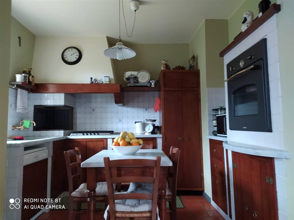 casa indipendente in vendita a Pietrasanta in zona Marina di Pietrasanta
