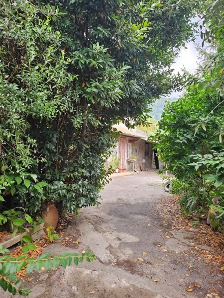 casa indipendente in vendita a Pietrasanta