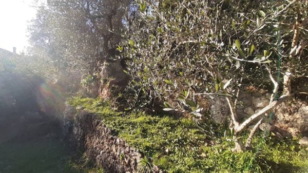 casa indipendente in vendita a Pietrasanta in zona Valdicastello