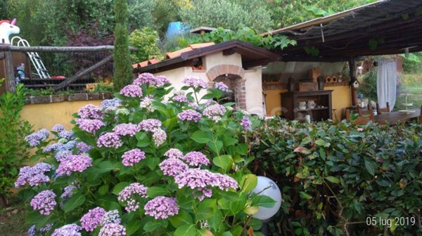 casa indipendente in vendita a Pietrasanta