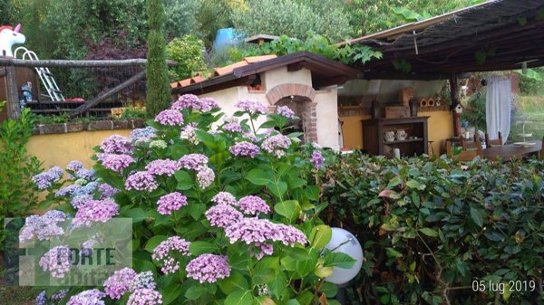 casa indipendente in vendita a Pietrasanta