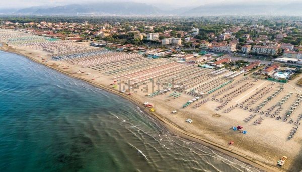 negozio in vendita a Pietrasanta in zona Motrone