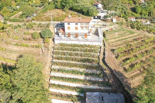 casa indipendente in vendita a Pietrasanta in zona Strettoia