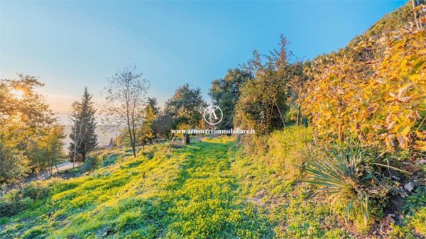 casa indipendente in vendita a Pietrasanta in zona Capriglia