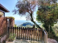 casa indipendente in vendita a Pietrasanta in zona Capezzano Monte