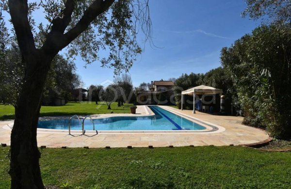 casa indipendente in vendita a Pietrasanta in zona Crociale