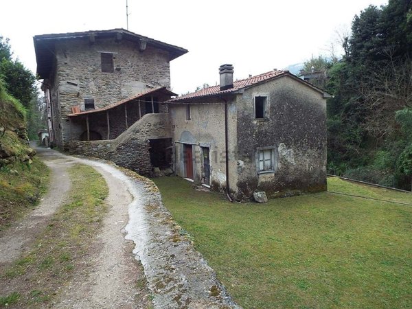 pentavano in vendita a Pietrasanta in zona Vallecchia